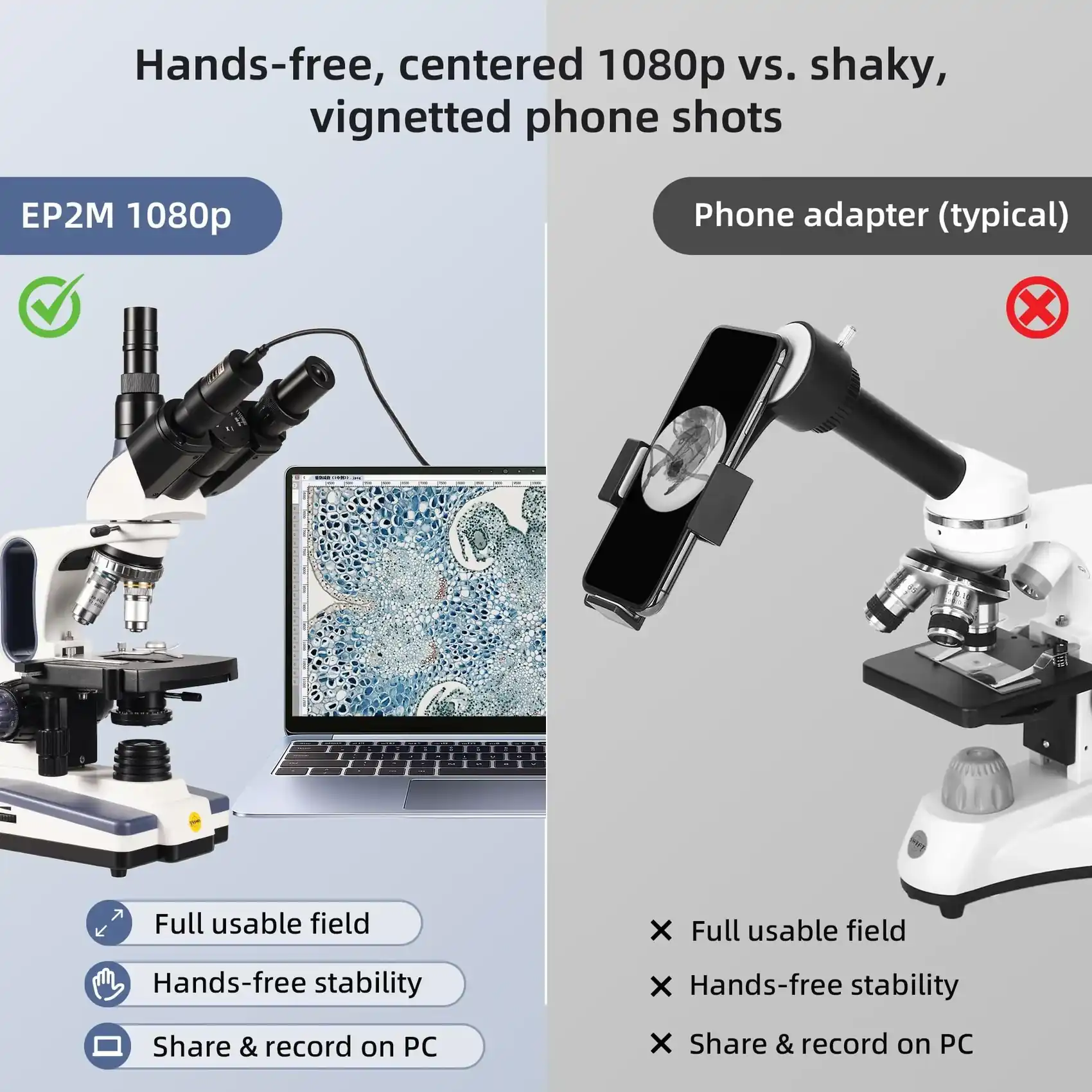 Sarah Mitchell, London review photo