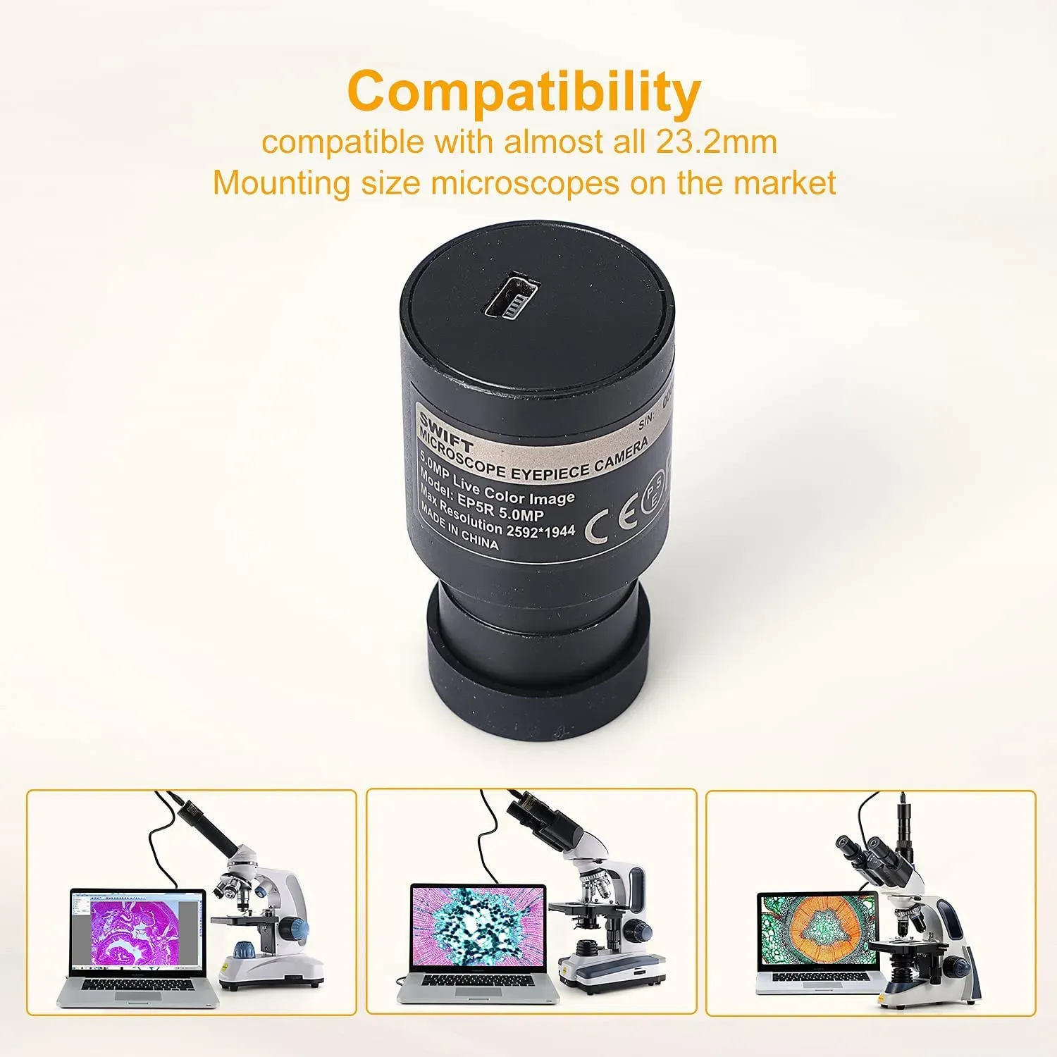 Rebecca Thompson, Leeds review photo